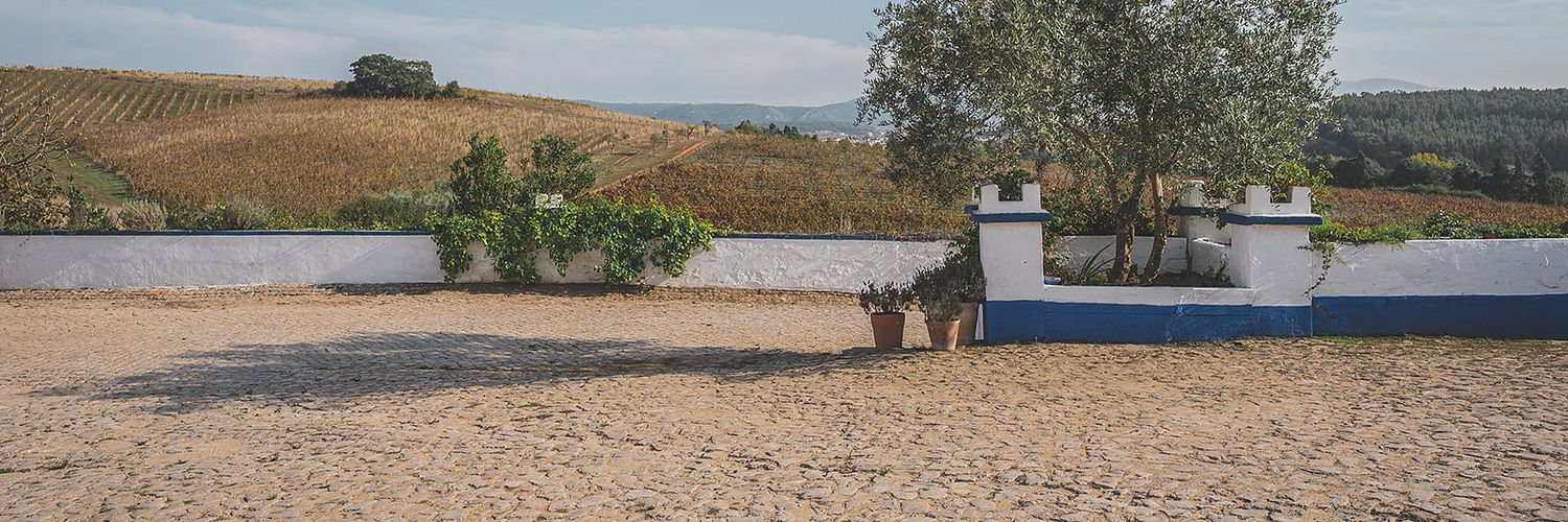 Quinta Do Olival Da Murta - Farm 2