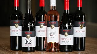Degustazione di vini e visita alla tenuta Szeleshát