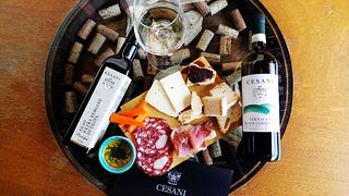 Cesani Winery