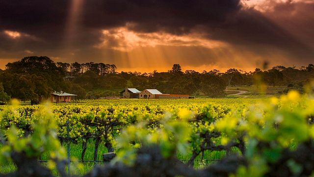Masterclass et expérience culinaire St Hugo & Riedel 