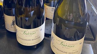 Premium Wine Tasting at Domaine De La Galopiere
