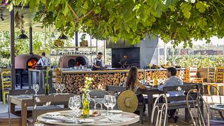 1 dags privat vintur i Chile - Colchagua Valley