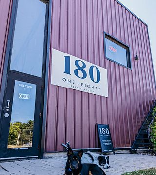 Cata de vinos en la bodega 180 Estate
