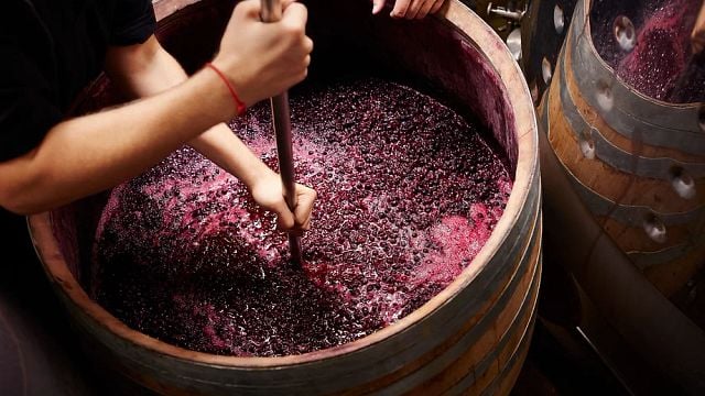 Dégustation de vins et dîner à la cave et à la viticulture Gerokostopoulos