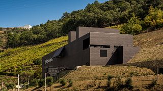 Degustazione di vini e tour ad Alves De Sousa Quinta Da Gaivosa