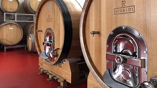 Azienda Agricola Rinaldi Vini