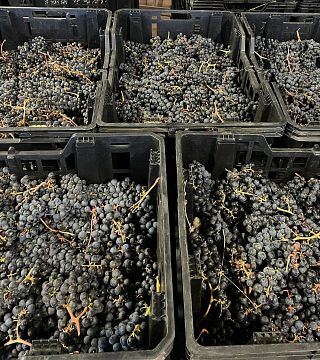 Cantine Sant'Agata