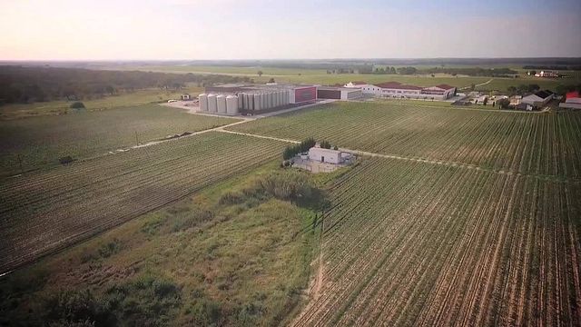 Dégustation de vins et visite à la Casa Ermelinda Freitas Vinhos