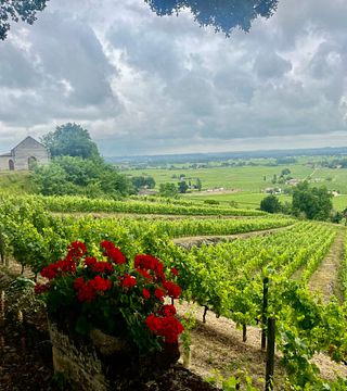 L'affascinante Saint Emilion, il cuore della famosa regione vinicola di Bordeaux