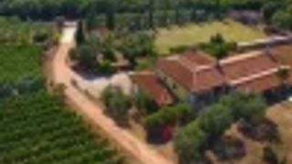 Dégustation et visite de vins de luxe à Collis