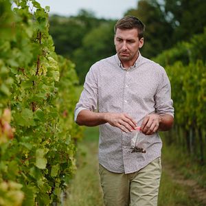 Dégustation de vins et visite des vignobles Stekar