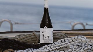 Expérience Vin et Voile