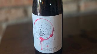 Degustazione di vini autentici presso la cantina di famiglia