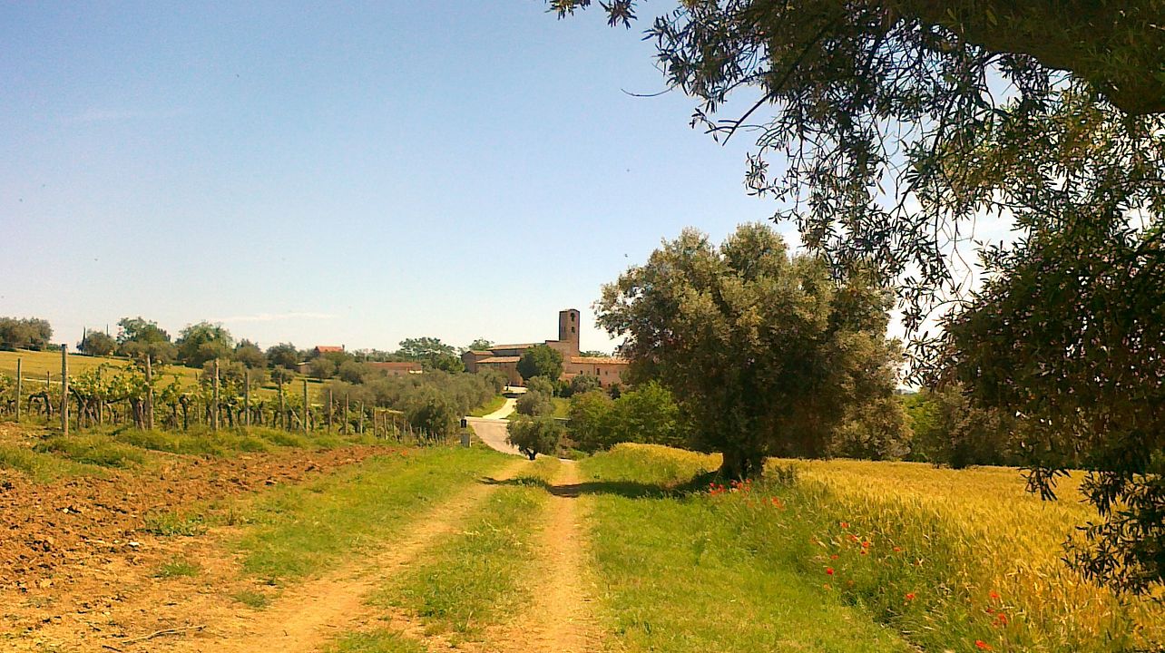 Weinprobe-Erlebnis | Abbazia di Propezzano 