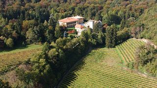 Tenuta Margon