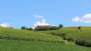 Explore a adega da vinícola Cascina Carlot