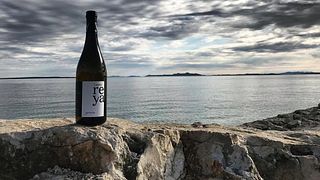 Cata de vinos y visita a la Bodega Ecológica Emeran Reya
