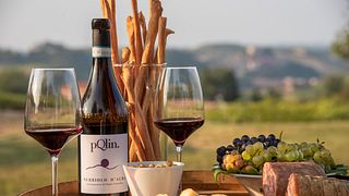 Roero… Et pas seulement ça | Dégustation de vins chez Az.Agr. Battaglino Angelo pQlin