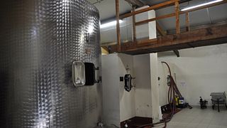 Dégustation de vins, explications et toutes les réponses possibles à vos questions !