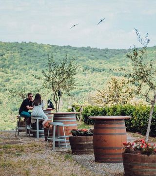 Visite du vignoble et du château de Castello Di Meleto