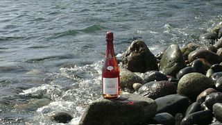 Catalan Vineyard Feast & Suriol Wine Pairing