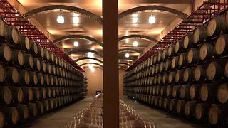 Weingutbesuch und Weinprobe in der Hacienda Villarta