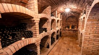 Weinprobe im Vinařství Zapletal