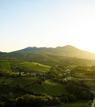 Cata y visita de vinos populares en Casa Vinicola D'Angelo