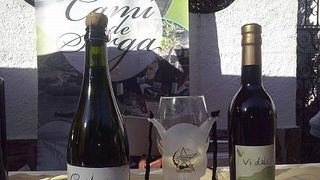 Degustazione di vini popolare al Celler Pedrola