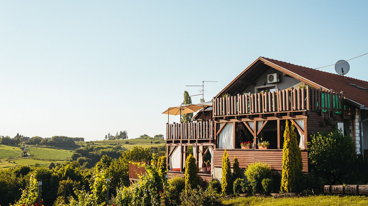 DK Winery- Dvanajščak Kozol