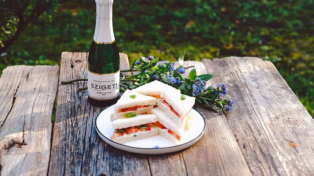 Mousserande vinprovning på Sektkellerei Szigeti