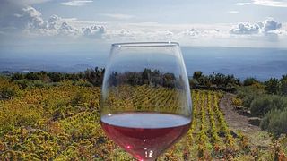 Verkostung von Ätna-Weinen direkt aus der Schachtel | Podere Dell'Etna Segreta