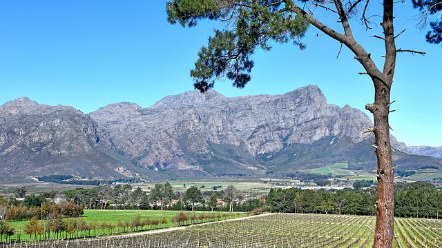 Weinprobe und Tour bei Topiary Wines