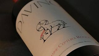 Degustazione e visita ai vigneti Davino