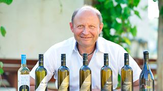 Weingut Neustifter