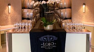 Lobo Wines
