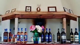Degustação de vinhos e visita à adega em Tenuta Castelnuovo Tancredi 