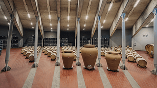 Dégustation et visite de vins à Monte Delle Vigne