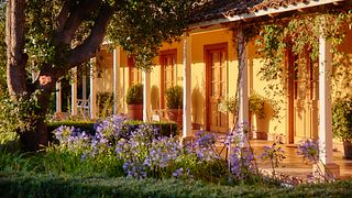 MATETIC VINEYARDS