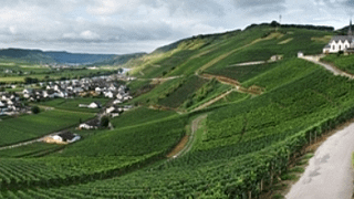 Degustazione di vini e visita alla Weingut Karl Veit