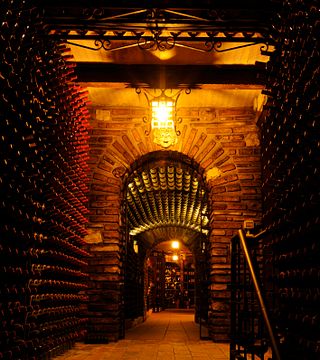 Dégustation de vins et visite à la Fattoria Paradiso