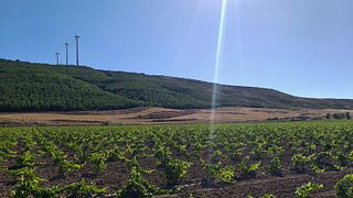 Degustação de vinhos e tour na Bodega Inurrieta
