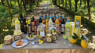 Visite et dégustation de limoncello à l'Azienda Agricola Il Convento