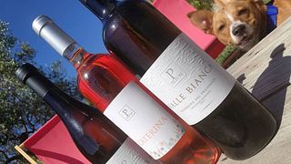 Aperitif på Pileum