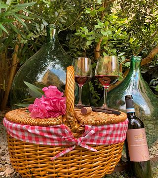 Degustação de vinhos e visita guiada à Corte Fornaledo