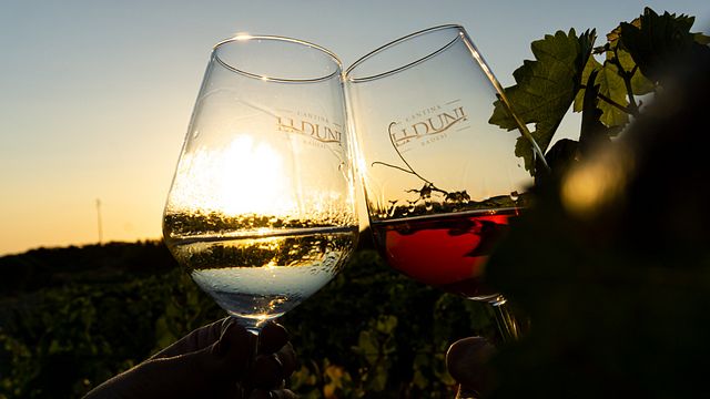 Essenza della Sardegna alla Cantina Li Duni: 6 Vini Eccezionali