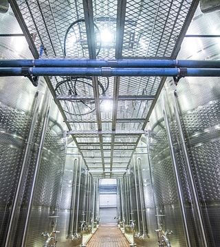 Cata de vinos y visita a la bodega McGregor
