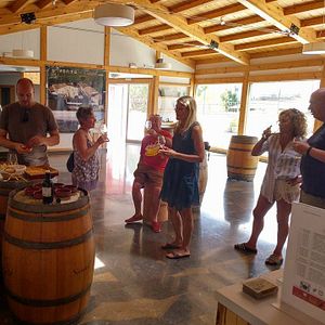 Hébergement rural au domaine viticole et domaine Suriol