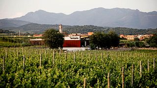 La Vinyeta Winery