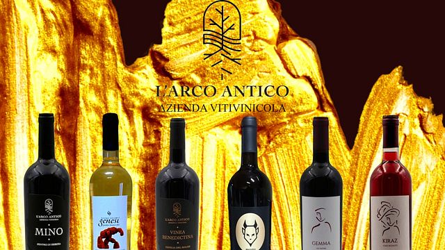 Degustação com visita à vinícola L'Arco Antico srl